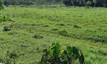Imagem 6: FAZENDA COM PASTAGEM A VENDA EM LUIZ ALVES PRÓXIMO A BALNEÁRIO CAMBORIÚ