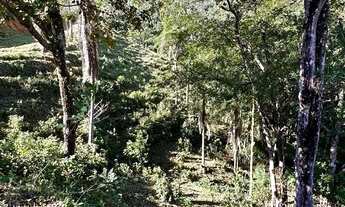 Imagem 5: TERRENO PARA SÍTIO A VENDA EM CANELINHA, PROXIMO AO CALÇAMENTO