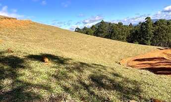 Imagem 4: TERRENO PARA SÍTIO A VENDA EM CANELINHA, PROXIMO AO CALÇAMENTO