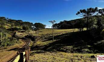 Imagem: TERRENO A VENDA EM BOM JARDIM DA SERRA