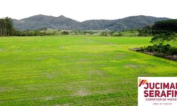 Imagem 2: TERRENO A VENDA COM POTENCIAL DE EXTRAÇÃO DE AREIA E ARGILA, TERRENO COM ARGILA PARA CERA