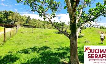 Imagem 4: Sitio a venda em Tijucas, a 12km da BR 101, mobiliada