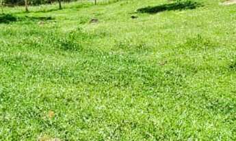 Imagem 3: Sitio a venda em Tijucas, a 12km da BR 101, mobiliada