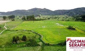 Imagem 6: TERRENO A VENDA COM POTENCIAL DE EXTRAÇÃO DE AREIA E ARGILA, TERRENO COM ARGILA PARA CERA