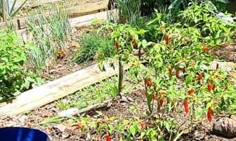 Imagem 6: Sitio a venda em Tijucas, a 12km da BR 101, mobiliada