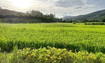 Imagem: TERRENO RURAL PARA LAVOURA E PASTAGEM A