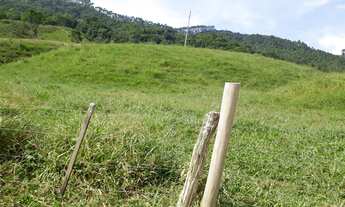 Imagem: FAZENDA DE GADO E LAVOURA A VENDA EM TIJUCAS