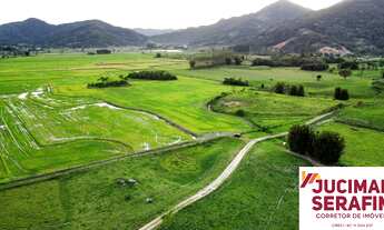 Imagem 4: TERRENO A VENDA COM POTENCIAL DE EXTRAÇÃO DE AREIA E ARGILA, TERRENO COM ARGILA PARA CERA