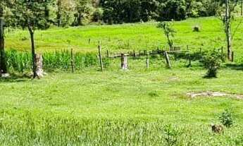Imagem 7: Sitio a venda em Tijucas, a 12km da BR 101, mobiliada