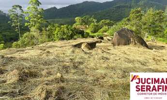 Imagem 4: Terreno rural a venda em Canelinha para sítio