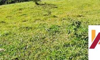 Imagem 6: FAZENDA DE GADO E REFLORESTAMENTO A VENDA EM TIJUCAS