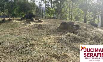 Imagem 6: Terreno rural a venda em Canelinha para sítio