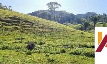 Imagem 2: FAZENDA DE GADO E REFLORESTAMENTO A VENDA EM TIJUCAS