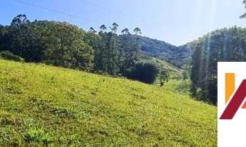 Imagem 5: FAZENDA DE GADO E REFLORESTAMENTO A VENDA EM TIJUCAS