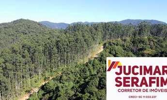 Imagem 7: FAZENDA DE GADO E REFLORESTAMENTO A VENDA EM TIJUCAS