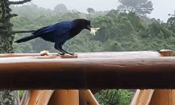 Imagem 5: Sítio a venda no Condomínio Villa Dorf Gottingen em Rancho Queimado