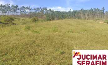 Imagem 4: TERRENO A VENDA EM CANELINHA COM PASTAGEM, RIO E UM LINDO BOSQUE NOS FUNDOS