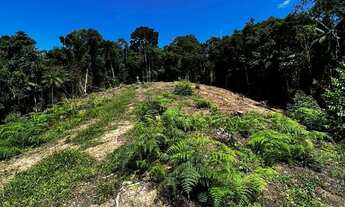 Imagem 6: TERRENO A VENDA EM NOVA TRENTO