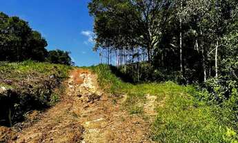 Imagem 7: TERRENO A VENDA EM NOVA TRENTO
