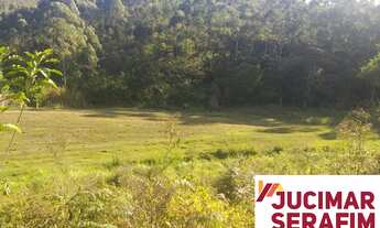Imagem 3: TERRENO A VENDA EM CANELINHA COM PASTAGEM, RIO E UM LINDO BOSQUE NOS FUNDOS