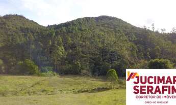 Imagem 2: TERRENO A VENDA EM CANELINHA COM PASTAGEM, RIO E UM LINDO BOSQUE NOS FUNDOS