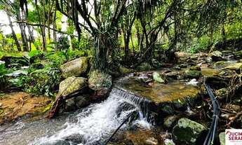 Imagem 2: Sítio Alto Padrão a Venda em Tijucas