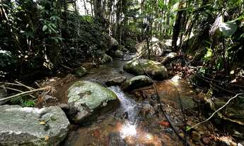Imagem 3: Sítio Alto Padrão a Venda em Tijucas