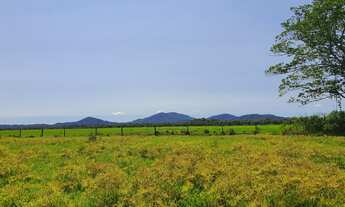 Imagem: GRANDE FAZENDA DE GADO A VENDA NA REGIÃO