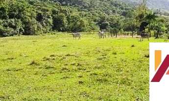 Imagem 5: Linda propriedade a venda no município de Tijucas SC