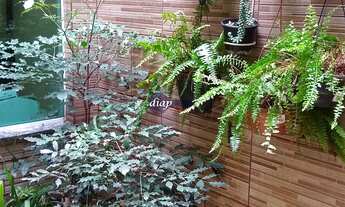 Imagem 6: Lindo sobrado com 3 dormitórios, sendo uma suíte com sacada, banheiro, sala com sacada, la