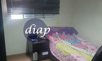 Imagem 7: Ótimo apartamento na Vila Nova Curuçá com 3 dormitórios, cozinha, sala de estar, 1 banheir