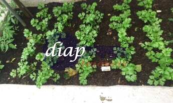 Imagem 6: Ótimo apartamento na vila Mariana com 3 dormitórios planejados, sendo 1 suíte, cozinha, sa