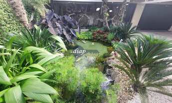 Imagem 5: Belíssima casa térrea de alto padrão no bairro Horto Florestal em rua sem saída com 4 suít