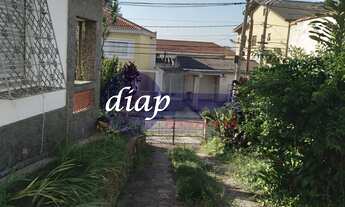 Imagem 7: Ótima casa antiga no bairro Jardim São Paulo com 3 dormitórios, cozinha, sala, 1 banheiro