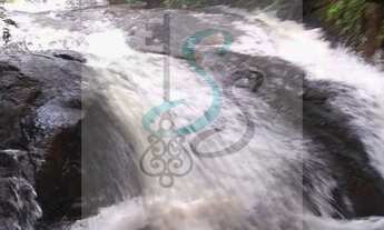 Imagem: Venda de sítio em São Tomás de Aquino