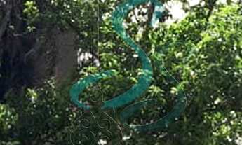 Imagem: Apartamento residencial Condomínio Edifício