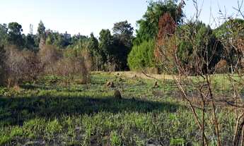 Imagem 2: VALINHOS - PAIQUERÊ /DOIS CÓRREGOS - ÁREA DE 19.570 M²