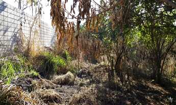 Imagem 3: VALINHOS - PAIQUERÊ /DOIS CÓRREGOS - ÁREA DE 19.570 M²