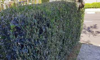 Imagem 3: Aconchegante Casa à Venda com piscina condomínio tranquilo de Valinhos/SP