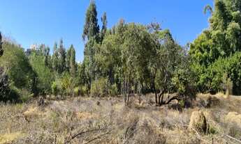 Imagem 4: VALINHOS - PAIQUERÊ /DOIS CÓRREGOS - ÁREA DE 19.570 M²