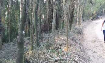 Imagem 7: Terreno com 20.000 M² no Condomínio Parque da Floresta em Valinhos