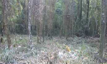 Imagem 6: Terreno com 20.000 M² no Condomínio Parque da Floresta em Valinhos