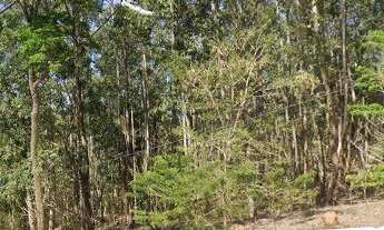 Imagem: Ampla área a venda em Itatiba / SP