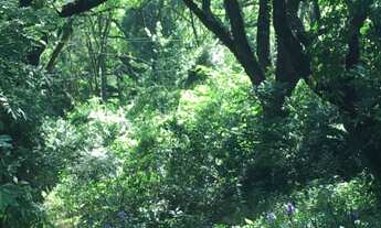 Imagem 6: Compre esta Linda Chácara no Condomínio Recanto Vale do Sol com 1000M² de terreno em Valin