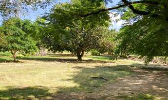 Imagem 4: Terreno com 1.500 m2 a venda em Santa Maria da Serra (SP), próximo da represa