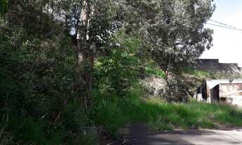 Imagem 2: VENDE-SE TERRENO COM 330M² - BAIRRO BOSQUE DOS EUCALIPTOS - VALINHOS/SP