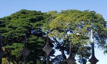 Imagem: Terreno Comercial, bairro dois córregos