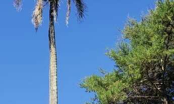 Imagem 4: Terreno Comercial , bairro dois córregos , entre os condomínios Querência e Ipê Dourado