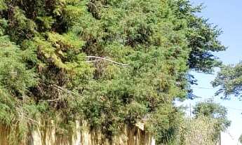 Imagem 3: Terreno Comercial , bairro dois córregos , entre os condomínios Querência e Ipê Dourado