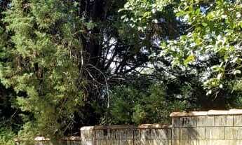 Imagem 2: Terreno Comercial , bairro dois córregos , entre os condomínios Querência e Ipê Dourado